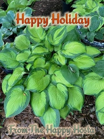 The Happy Hosta e-Gift Card